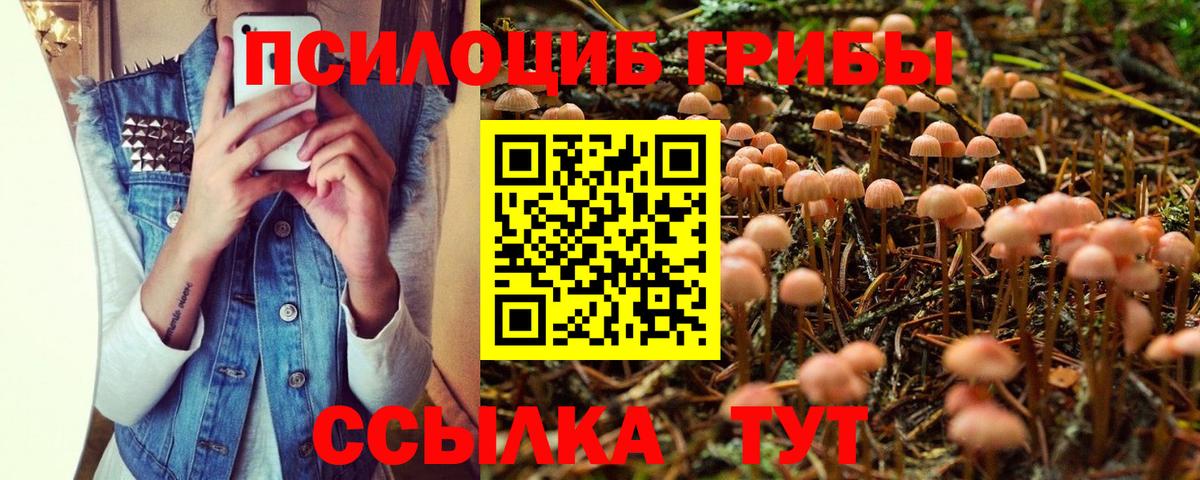 Псилоцибиновые грибы мицелий Нижний Новгород