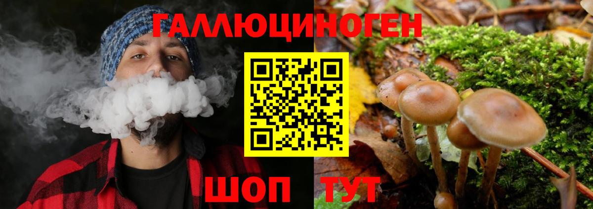 купить  сайты  Вход с VPN  Нижний Новгород  Псилоцибиновые грибы Magic Shrooms 